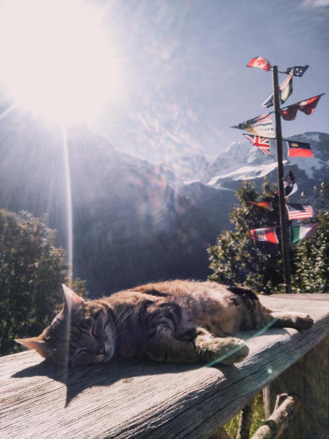 Mountain Hostel Gimmelwald Bagian luar foto