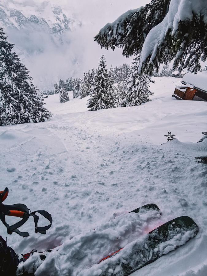 Mountain Hostel Gimmelwald Bagian luar foto